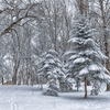 I Love Romania - Decembrie