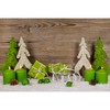 Green Vibe - Decembrie