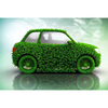 Green Vibe - Martie
