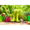 Green Vibe - Iunie