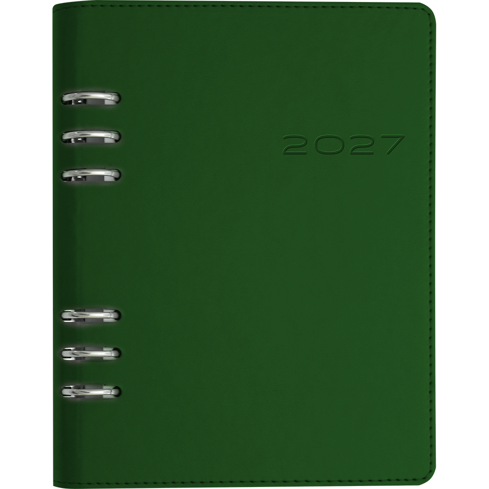 Organizer rigid